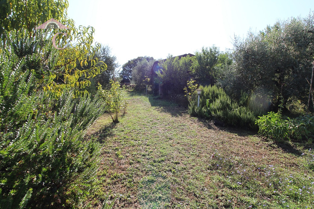 amelia-annessi con terreno-vicino al centro-strada di facile accesso-posizione soleggiata 5.png